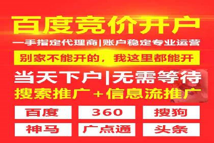 探索SEM优化托管的成功案例与策略
