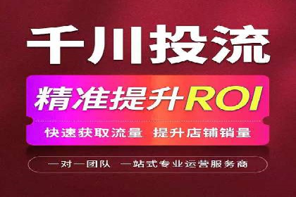 SEM实战案例：案例分析广告投放